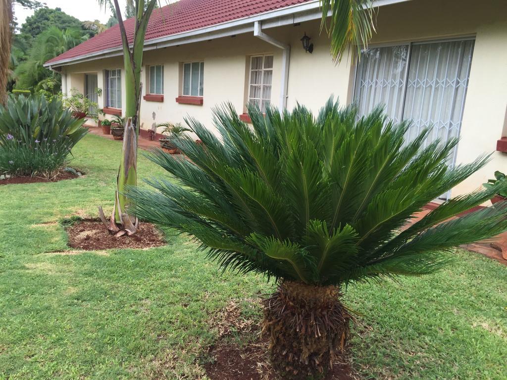 Palm Villa Harare Exterior foto